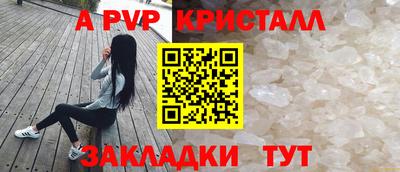 спиды Гагарин