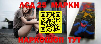 гидропоника Гатчина