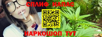 гидропоника Гатчина